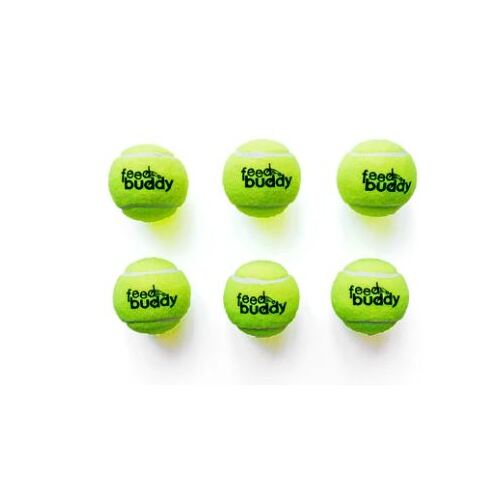 Feed Buddy Tennis Balls 6 pack
