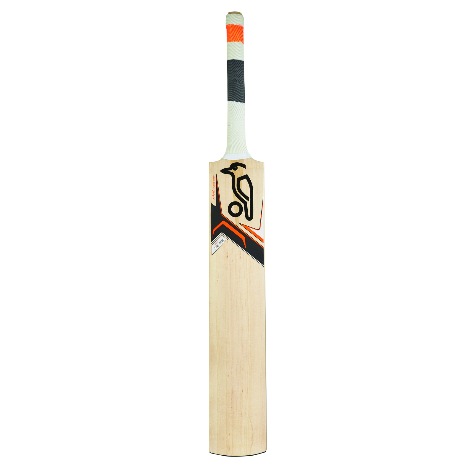 junior cricket equipment