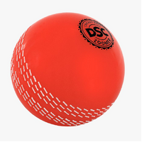 DSC Poly Cricket Ball