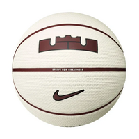 Nike Lebron Playground 2.0 Basketball