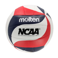 Molten MS500 Indoor Volleyball