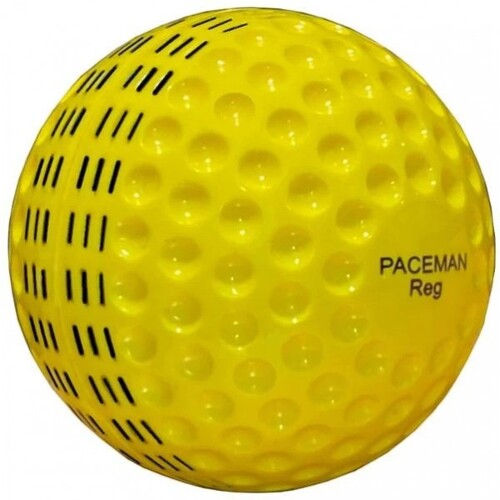 Paceman Reg Hard Ball Bucket - 48 balls