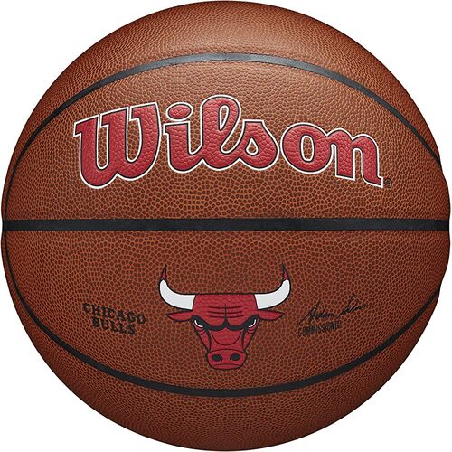 Wilson NBA Team Alliance Indoor/Outdoor Basketball